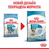 Корм сухий Royal Canin стартер для малих порід MINI STARTER mother & babydog 1 kg, фото 8