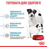 Корм сухий Royal Canin стартер для малих порід MINI STARTER mother & babydog 1 kg, фото 10