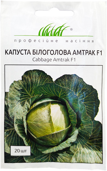 Насіння капусти Амтрак F1 20 шт. пізньостигла Bejo, фото 1