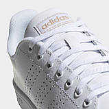 Кросівки для тенісу Adidas ADVANTAGE F36223, фото 8