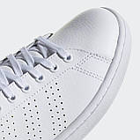 Кросівки для тенісу Adidas ADVANTAGE F36223, фото 10