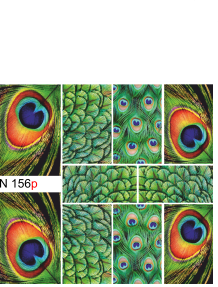 Слайдер — дизайн N 156 (водні наклейки), фото 1
