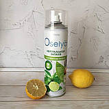 Нейтралізатор запахів з ароматом лайму, Джерелія, 500 мл, фото 2