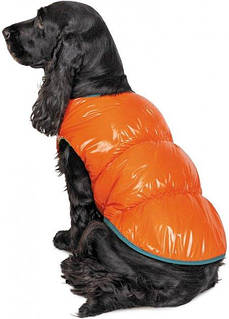 Жилет Pet Fashion "SPRING" для собак розмір L, Жовтогарячий