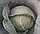 Капуста АКСОНА КС 29 F1 / КС 29 F1 Kitano Seeds 1000 насінин, фото 3