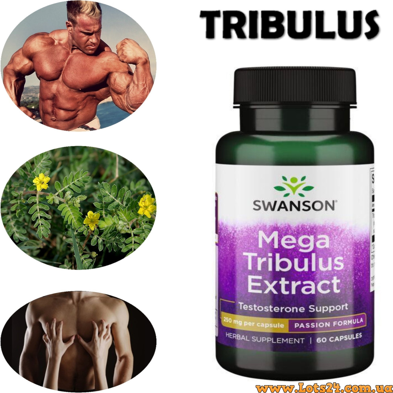 Трибулус 60 капсул підвищує тестостерон аналог Swanson Mega Tribulus + програма тренувань
