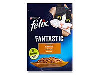 Пауч для котів Fantastic / Індичка в желе (FELIX) 85г ТМ PURINA "Lv"