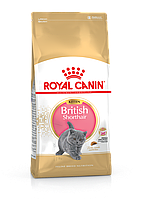 Royal Canin (Роял Канин) Kitten British Shorthair для котят британской породы 0,4 кг