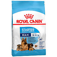 Royal Canin (Роял Канин) Maxi Starter Mother Babydog для щенков крупных пород 4 кг