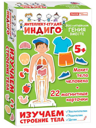 Настільна гра Індіго.Вивчаємо тіло, фото 1