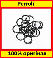 Ущільнення (прокладки) теплообмінника опалення 13,5 х 2,8 мм (1 шт.) Ferroli DOMIproject (39837700)