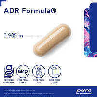 Підтримка надниркових залоз, ADR Formula, Pure Encapsulations, комплексна формула, 60 капсул BX169, фото 4