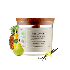 Аромасвічка Purity Three seasons