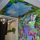 Фотодрук, фото 2