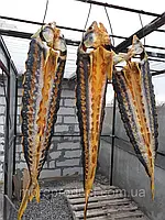 Осетр холодного копченння, з головою (від 0,9 кг до 1,2 кг), ціна за 1 кг