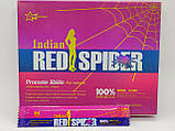 Червоний павук збудник для жінок Red Spider 12 шт., фото 3