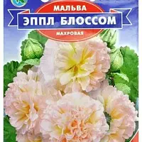 Мальва Епл блосом. Махрова рожева. У контейнерах Д5.