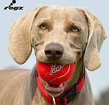 Іграшка ROGZ Molecules Ball тенісний м'яч для собак L (d = 8 см) Червоний, фото 2