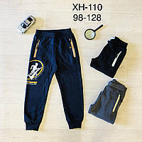 Спортивные утепленные штаны для мальчика оптом, Taurus, 98-128 см, № XH-110