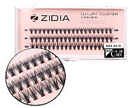 Ресницы накладные пучковые Zidia Cluster Lashes 20D C 0.10 Mix S (3 ленты, размер 8/9/10 мм)