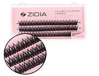 Ресницы накладные пучковые рыбий хвост Zidia Cluster Lashes Fish Tail 24D C 0.10 (3 ленты, размер 11 мм)