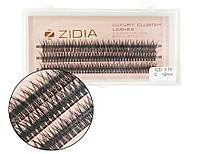 Ресницы накладные пучковые рыбий хвост Zidia Cluster Lashes Fish Tail 12D C 0.10 (3 ленты, размер 12 мм)