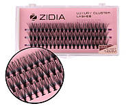 Ресницы накладные пучковые Zidia Cluster Lashes 30D C 0.07 (3 ленты, размер 14 мм)