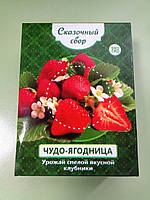 Диво-ягодница Казковий збір - набір для вирощування полуниці на підвіконні