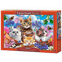 Пазл Castorland 500 эл Котята в цветах 47х33 см Классические пазлы Кастор Kittens With Flowers B-53513