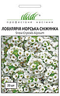 Семена Лобулярия Морская снежинка 20 шт Pan American flowers