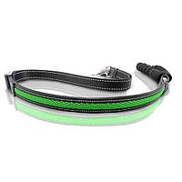 Повідець для собак з підзарядкою регульований LED AnimAll 2,5/120-150 см зелений