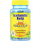 Ісландська бура водорість (Icelandic Kelp)