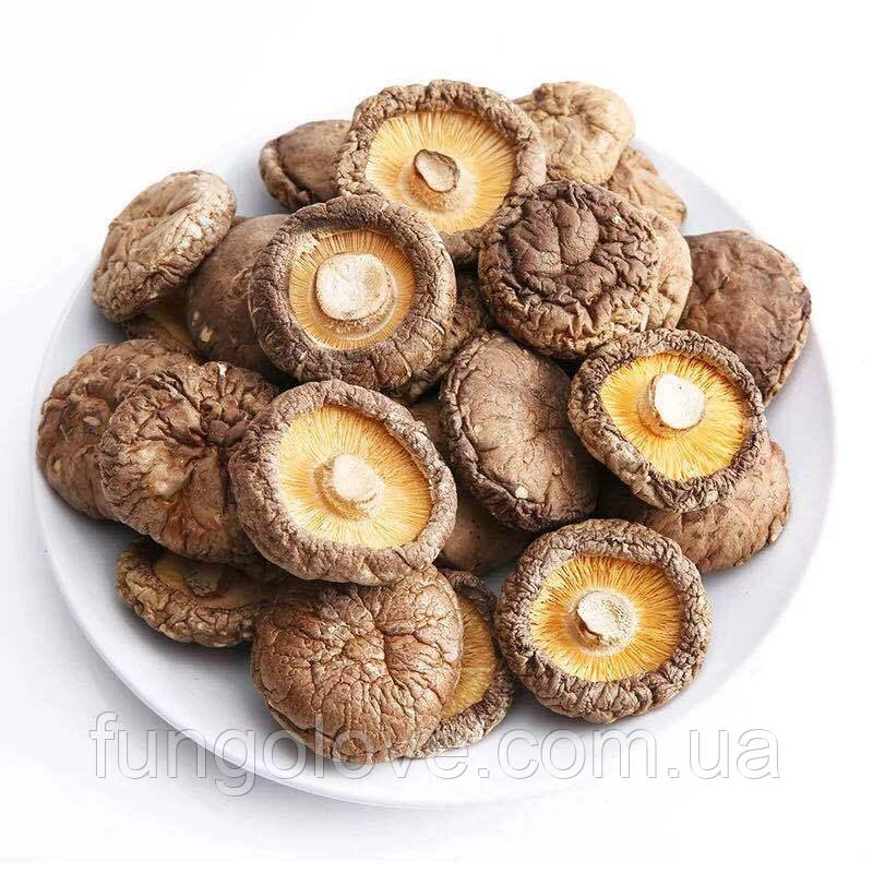 Сушені гриби Шиїтаке, 100 г