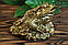 Грошова трилапа жаба, 12 см, фото 4