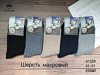 Мужские шерстяные носки "Корона" , 41-47 р-р..Махровые носки, тёплые носки для мужчин