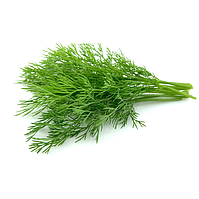 Кріп ГРІН СЛІВЗ F1 | GREEN SLEEVES F1 Enza Zaden 250 грам