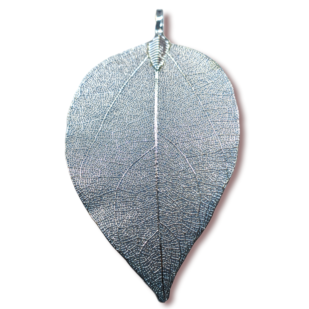 Натуральний Лист, Підвіска, Гальваніка, Розмір 30-40х60-70мм, колір Світло-блакитний, фото 1