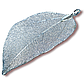 Натуральний Лист, Підвіска, Гальваніка, Розмір 30-40х60-70мм, колір Світло-блакитний, фото 2