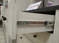 Тумба під телевізор Амстердам (Антверпен II) РТВ 2S БРВ 480x1370x410vмм ясен сніговий + дуб морений, фото 3