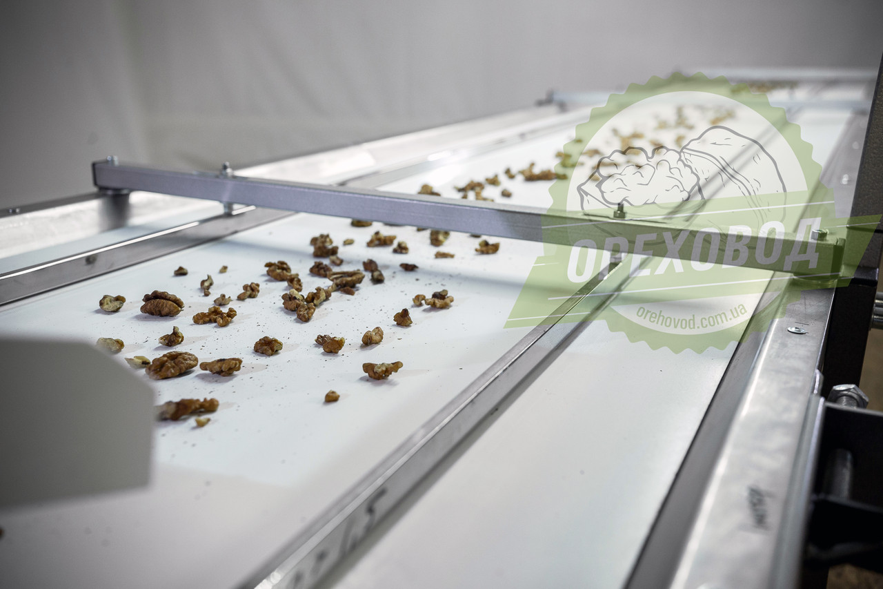 Инспекционный стол для сортировки грецкого ореха, семян и тд, сортировщик - фото 3 - id-p1693839785
