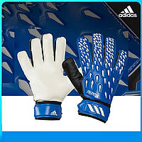 Вратарские перчатки Adidas Predator Training GK3524