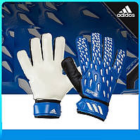 Воротарські рукавиці Adidas Predator Training GK3524