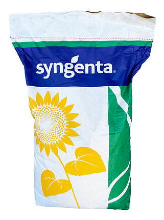 Соняшник Рокі Standart Syngenta, фото 2