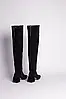 Жіночі зимові Ботфорти ShoesBand Чорні натуральні замшеві на підборах всередині напіввовна 40 (26 см) (Ѕ85111е), фото 9