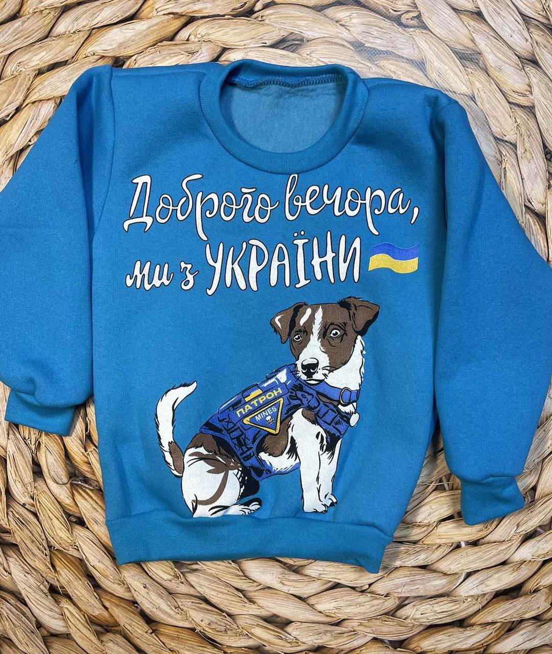 Дитячий теплий світшот на хлопчика «Парон