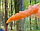 Кольоровий дим для фотосесії Помаранчевий Maxsem MA0511 Orange smoking fountain 60 сек, фото 4