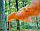 Кольоровий дим для фотосесії Помаранчевий Maxsem MA0511 Orange smoking fountain 60 сек, фото 6