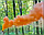 Кольоровий дим для фотосесії Помаранчевий Maxsem MA0511 Orange smoking fountain 60 сек, фото 7