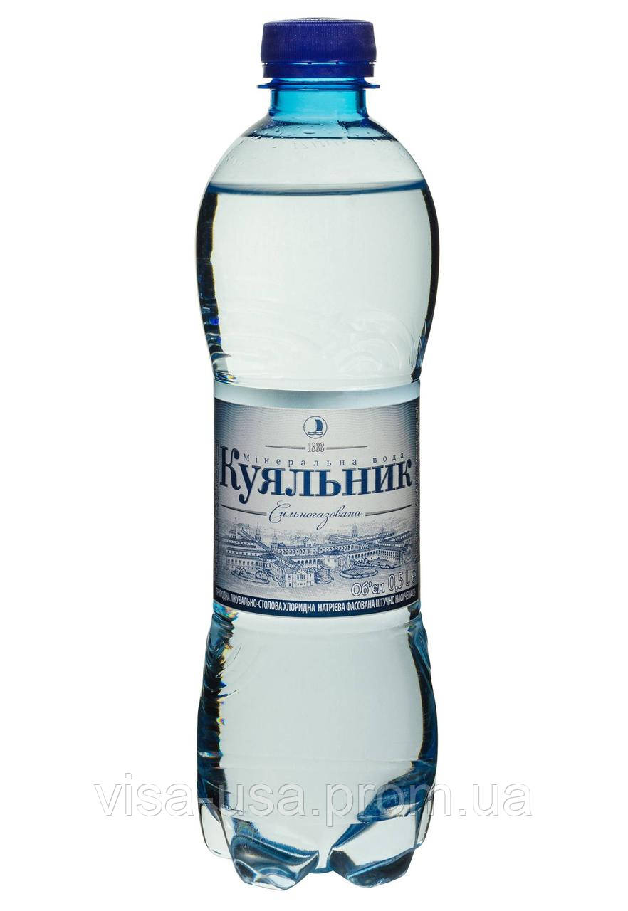 Купить Минеральная Вода Куяльник (ПЕТ) 0.5 л, цена 11 грн — Prom.ua (ID ...