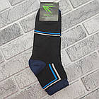 Шкарпетки чоловічі середні зимові з махрою р.41-46 СПОРТ асорті УСПІХ БАМБУК 30036766, фото 2